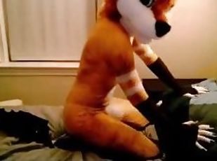Videos For Cute Furry Your Mini Sex Tube